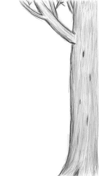 Tree idea for website